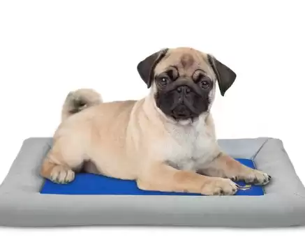 Arf Pets Dog Self Cooling Bed Pet Bed