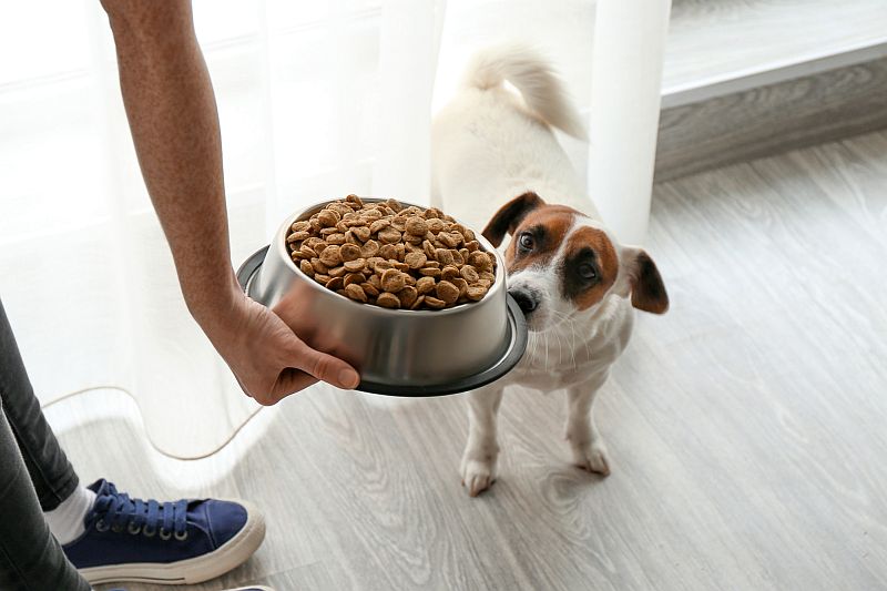 questions about foods for pancreatitis