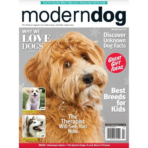 Best Dog Magazines: Top Print Publications About Your Pup