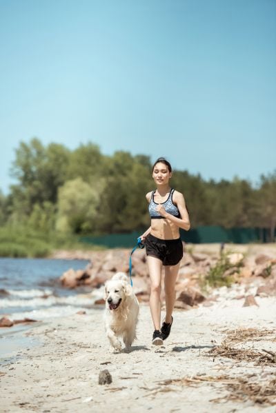 which dogs are best for running