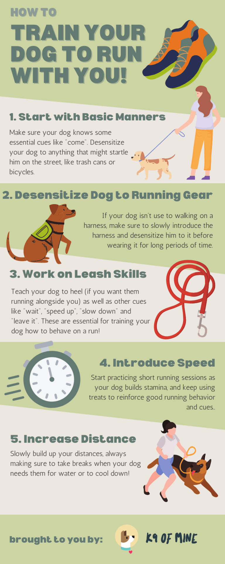 Dog Running 101: How to Train Your Dog to Run with You!
