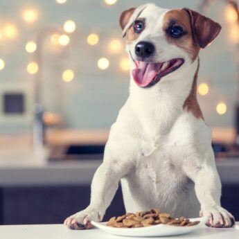 dog food bonus ingredients