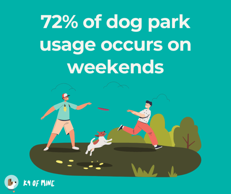 dog parks on the weekends