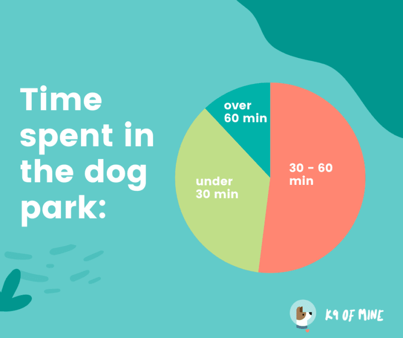 time spent in dog park