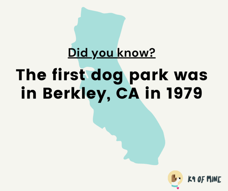 what was the first dog park