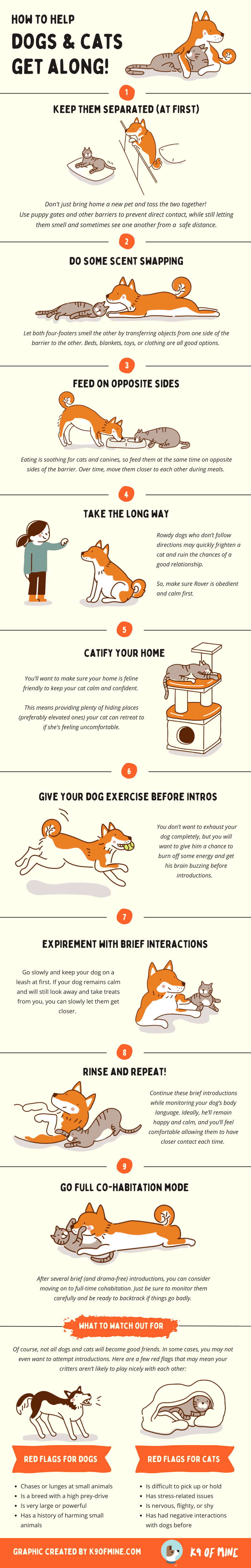 dogs and cats infographic