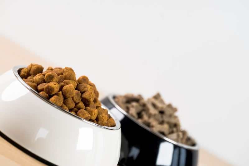 what is different about small dog food