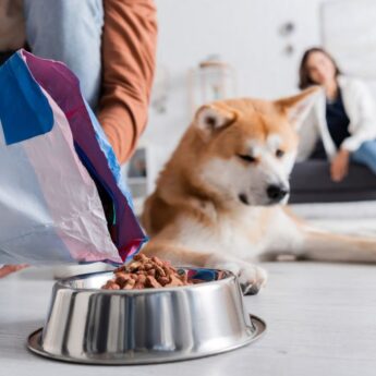 what is the worst dog food