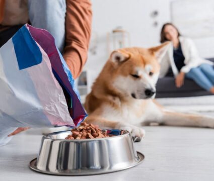 what is the worst dog food