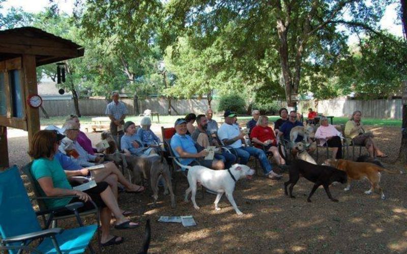 Central Dog Park