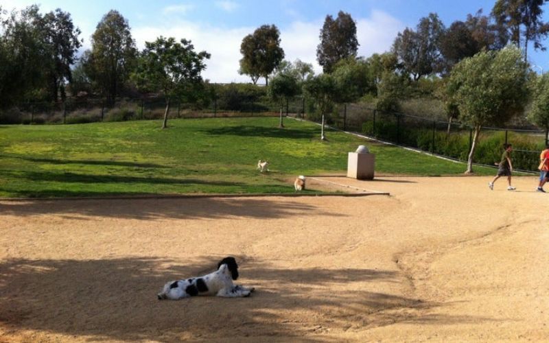 Montevalle Park Dog Park