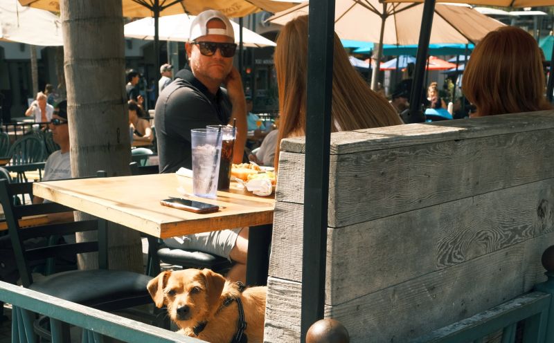 restaurant for dogs in LA