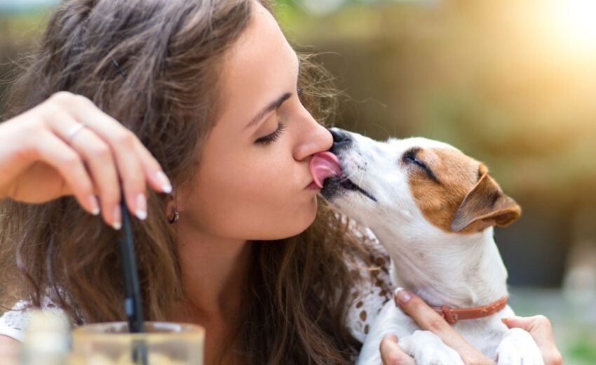 Best Dog-Friendly Bars in Tampa