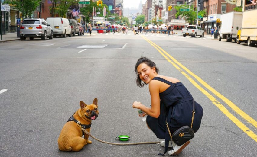 things to do with dog in NYC