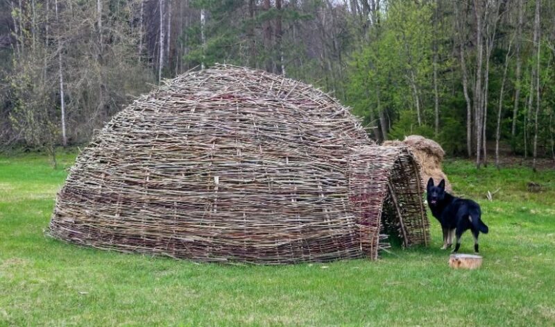 German shepherd with Native American hut structure