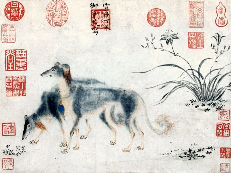 sighthound history