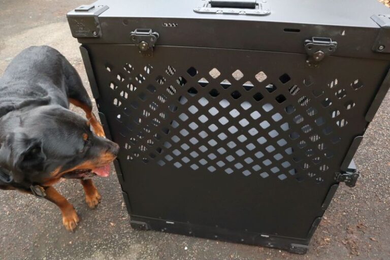 Image showcasing Impact Collapsible Dog Crate Review: A Two-Year-Long Test