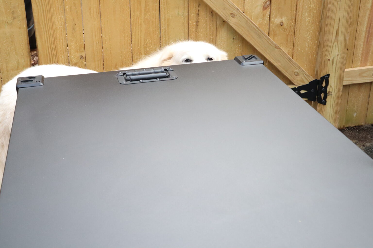 Image showcasing Impact Collapsible Dog Crate Review: A Two-Year-Long Test