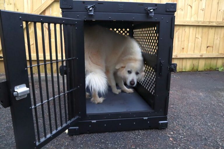 Image showcasing Impact Collapsible Dog Crate Review: A Two-Year-Long Test
